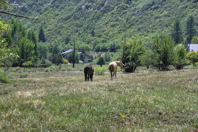 a view of open space with deck and yard