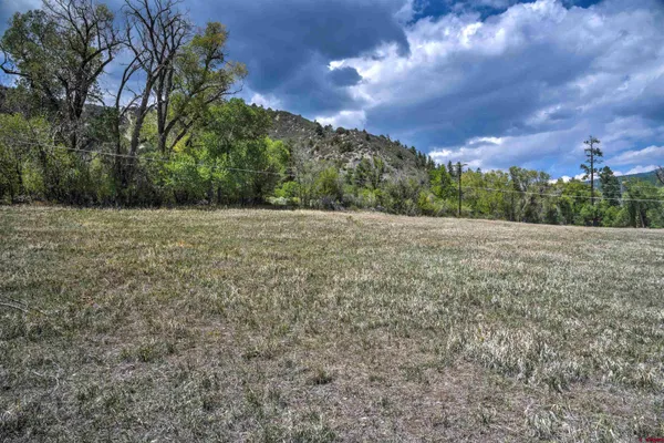 a view of an outdoor space with yard