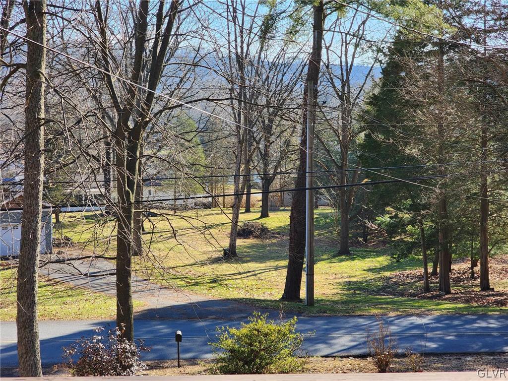 4824 Cedar Grove Road Bangor, PA 18013 - Photo 5 of 46 a view of a yard with trees