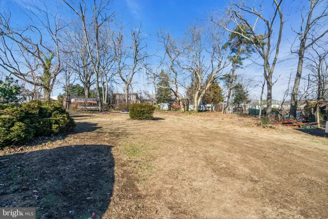 a view of road with large trees