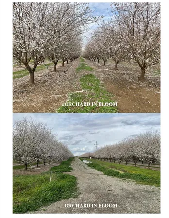 $3,600,000 | 18275 Jensen Lane, Esparto, CA 95627