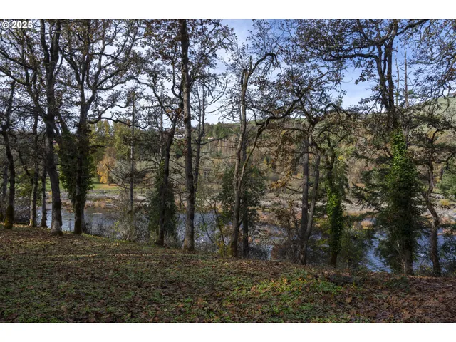 a view of outdoor space and yard