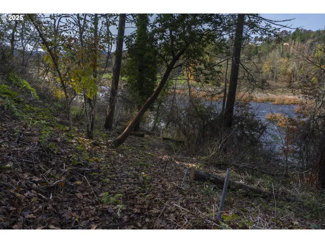 a view of a yard with a tree