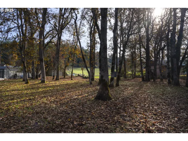a view of outdoor space with trees