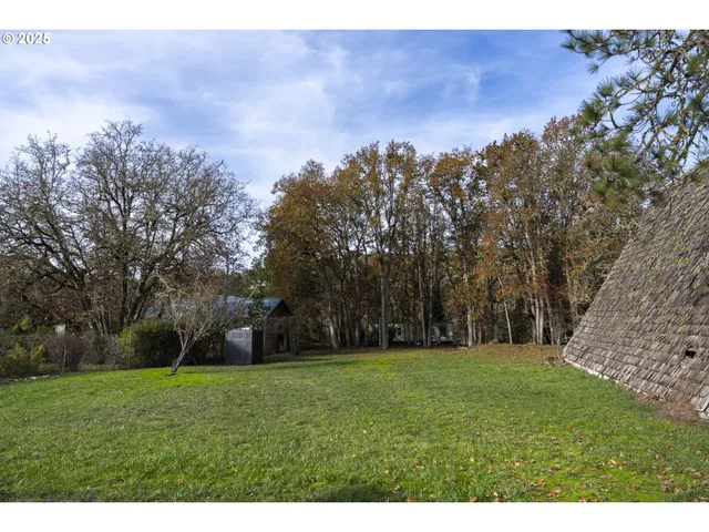 a view of a field with trees in the background