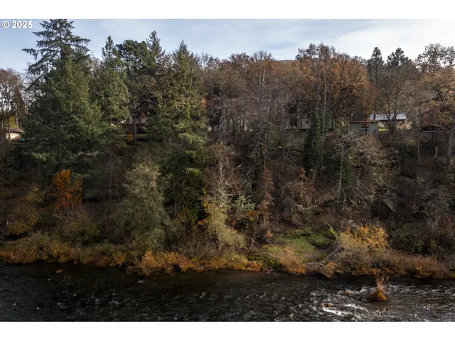 a view of a town with mountains in the background