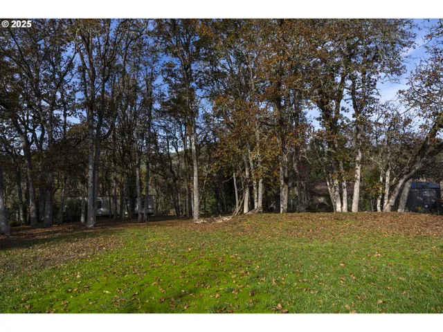 a big yard with trees