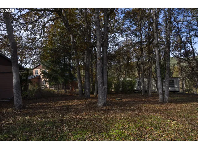 a backyard of a house with lots of green space