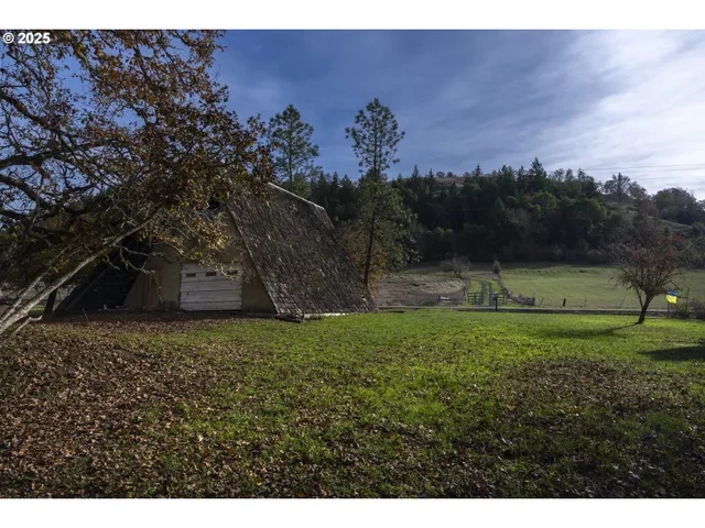 a view of a back yard