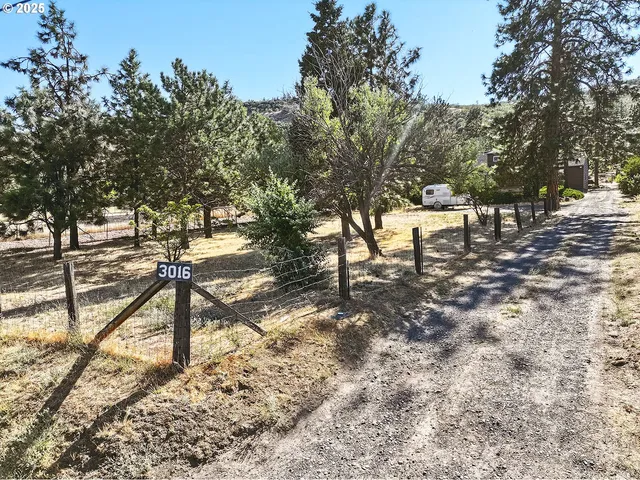 a view of back yard of the house