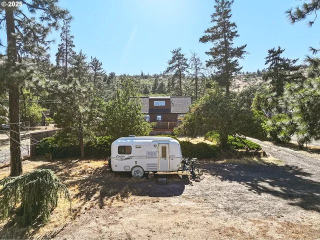 a view of a forest with trees