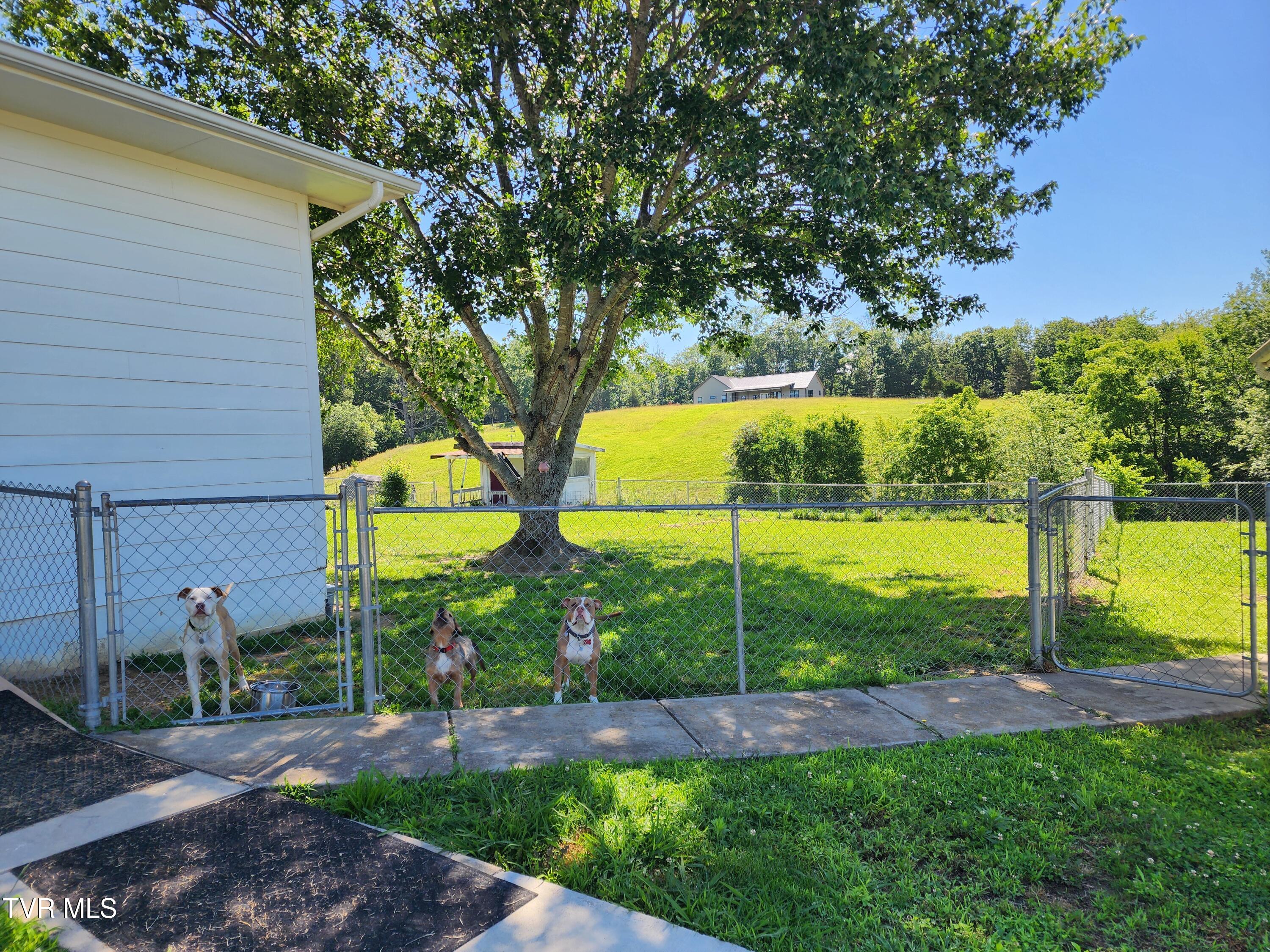 940 Opie Arnold Road Limestone, TN 37681 - Photo 33 of 78 20260603_104736