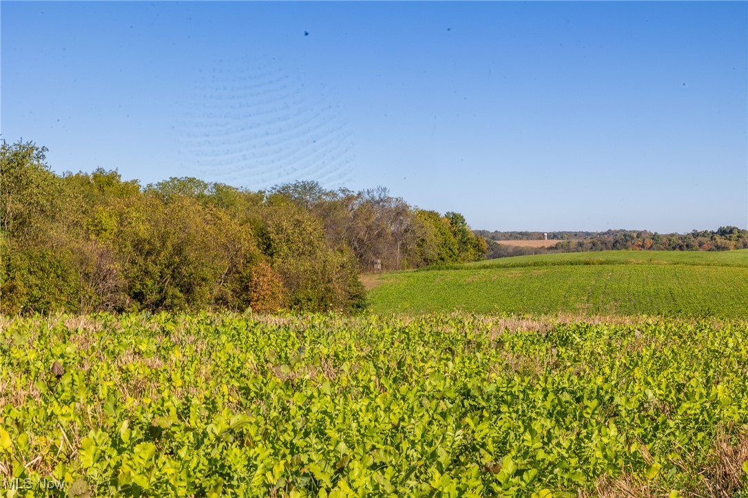 18125 Co Road Warsaw, OH 43844 - Photo 11 of 50 Gallery Image 11