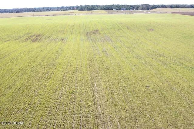 a view of an ocean and beach