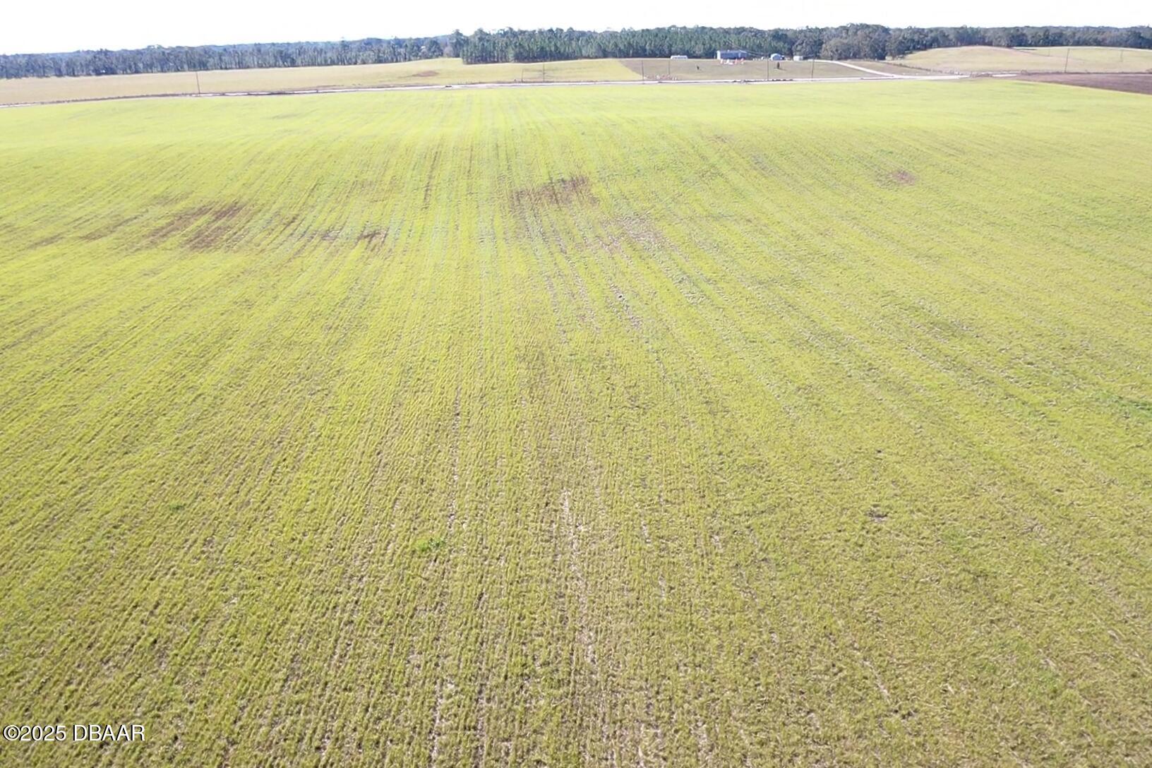 72 Nw Place Bell, FL 32619 - Photo 11 of 14 a view of an ocean