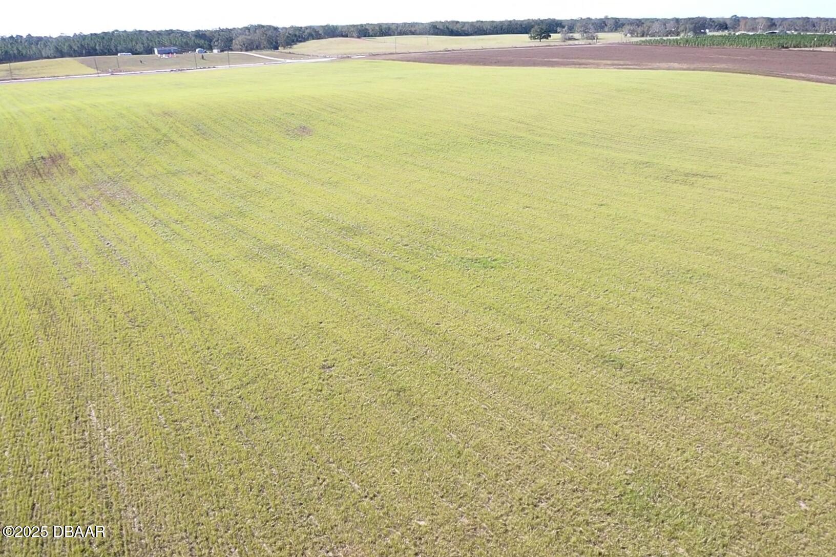 72 Nw Place Bell, FL 32619 - Photo 12 of 14 a view of an ocean and beach