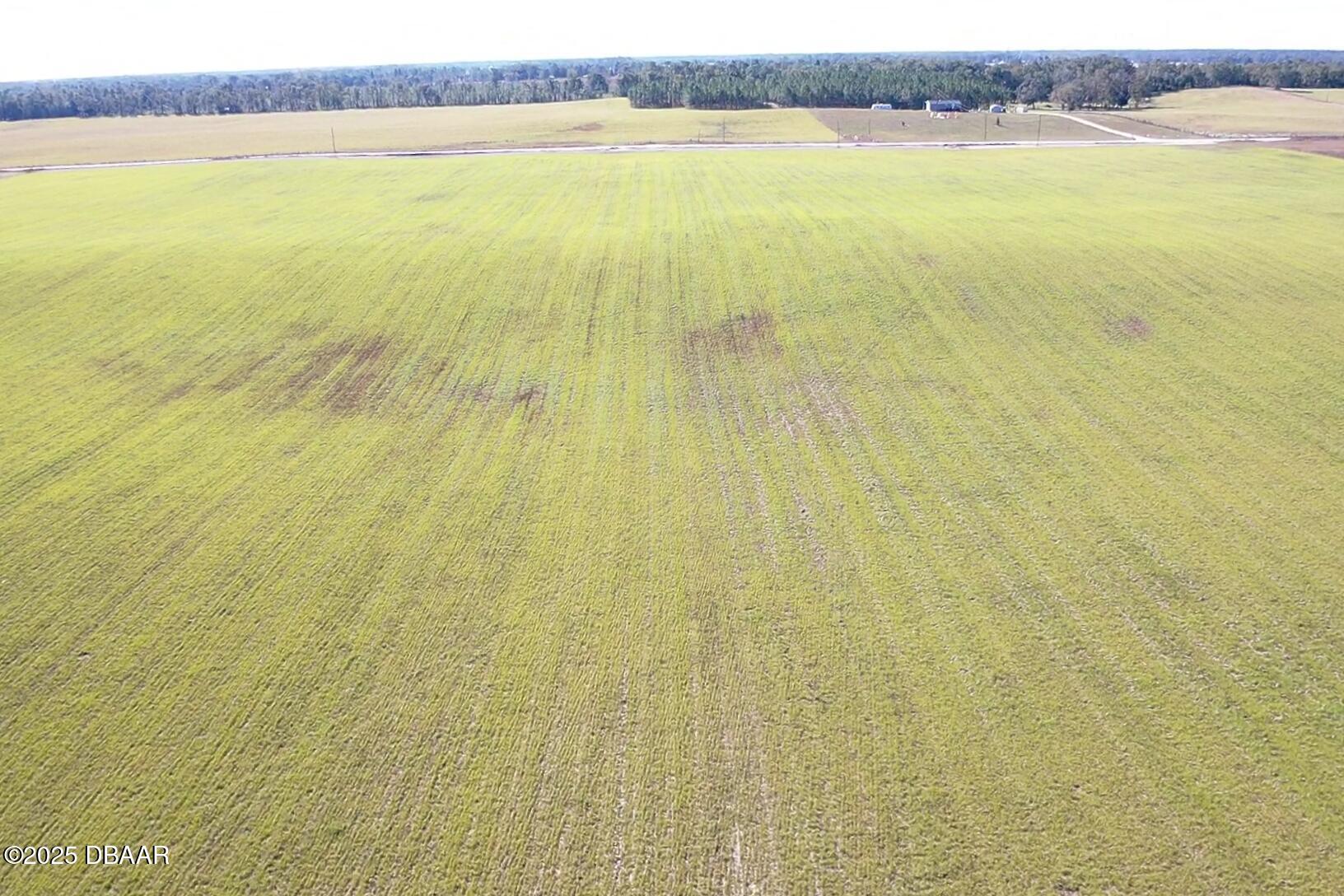 72 Nw Place Bell, FL 32619 - Photo 14 of 14 a view of an ocean