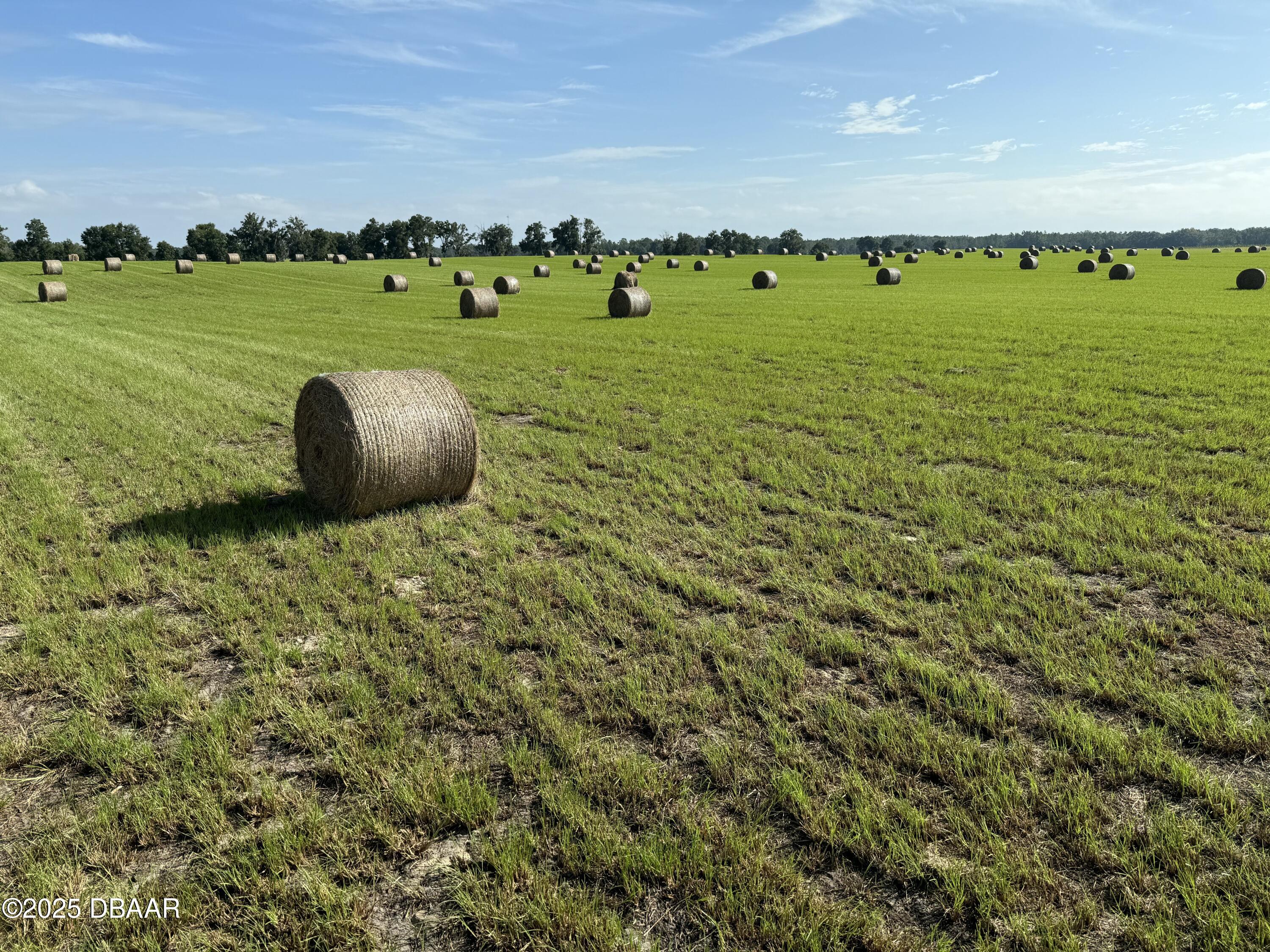72 Nw Place Bell, FL 32619 - Photo 2 of 14 a view of a golf course with an ocean