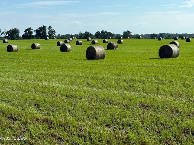 a view of a golf ground with huge green field and covered with green space