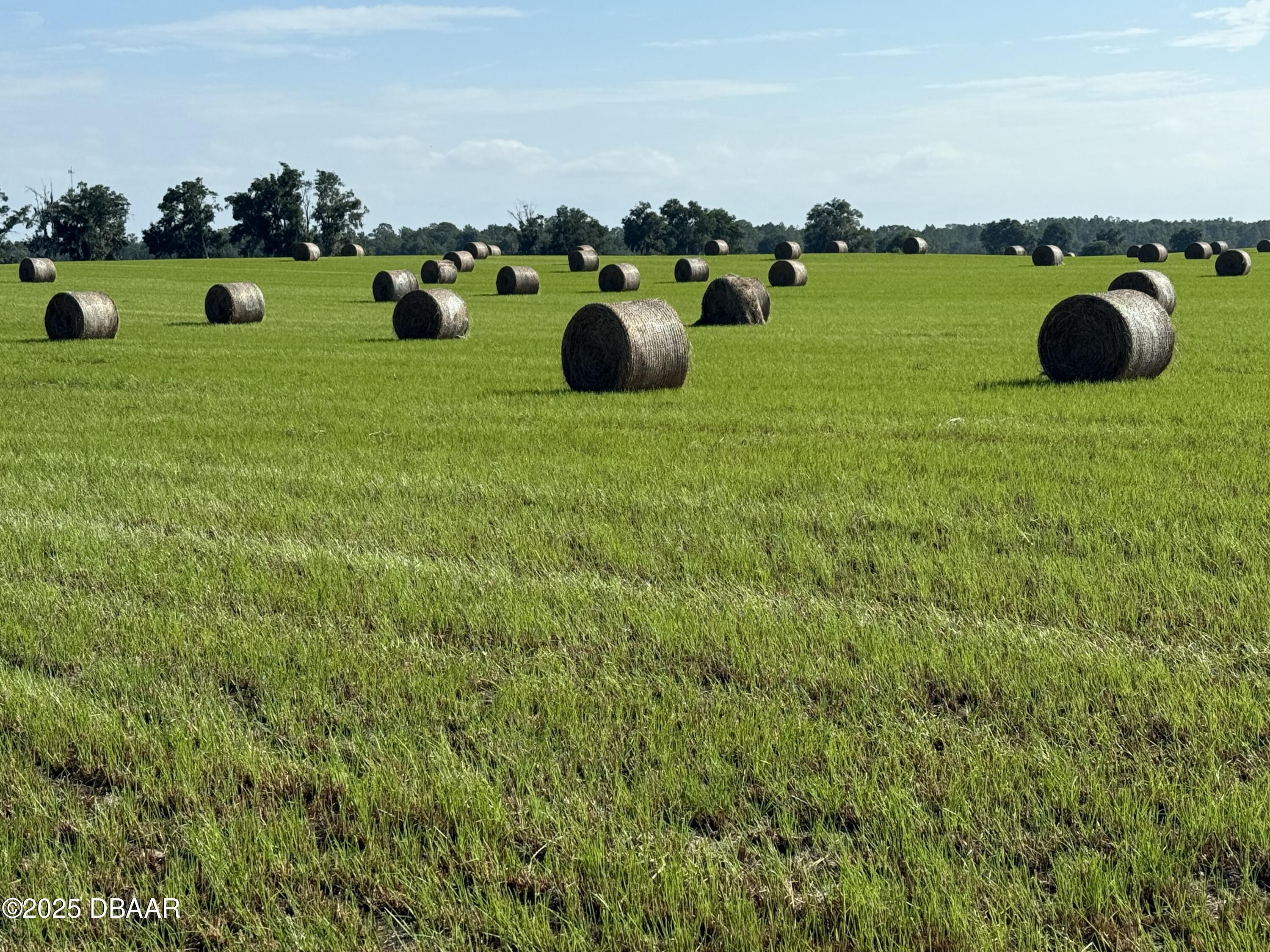 72 Nw Place Bell, FL 32619 - Photo 3 of 14