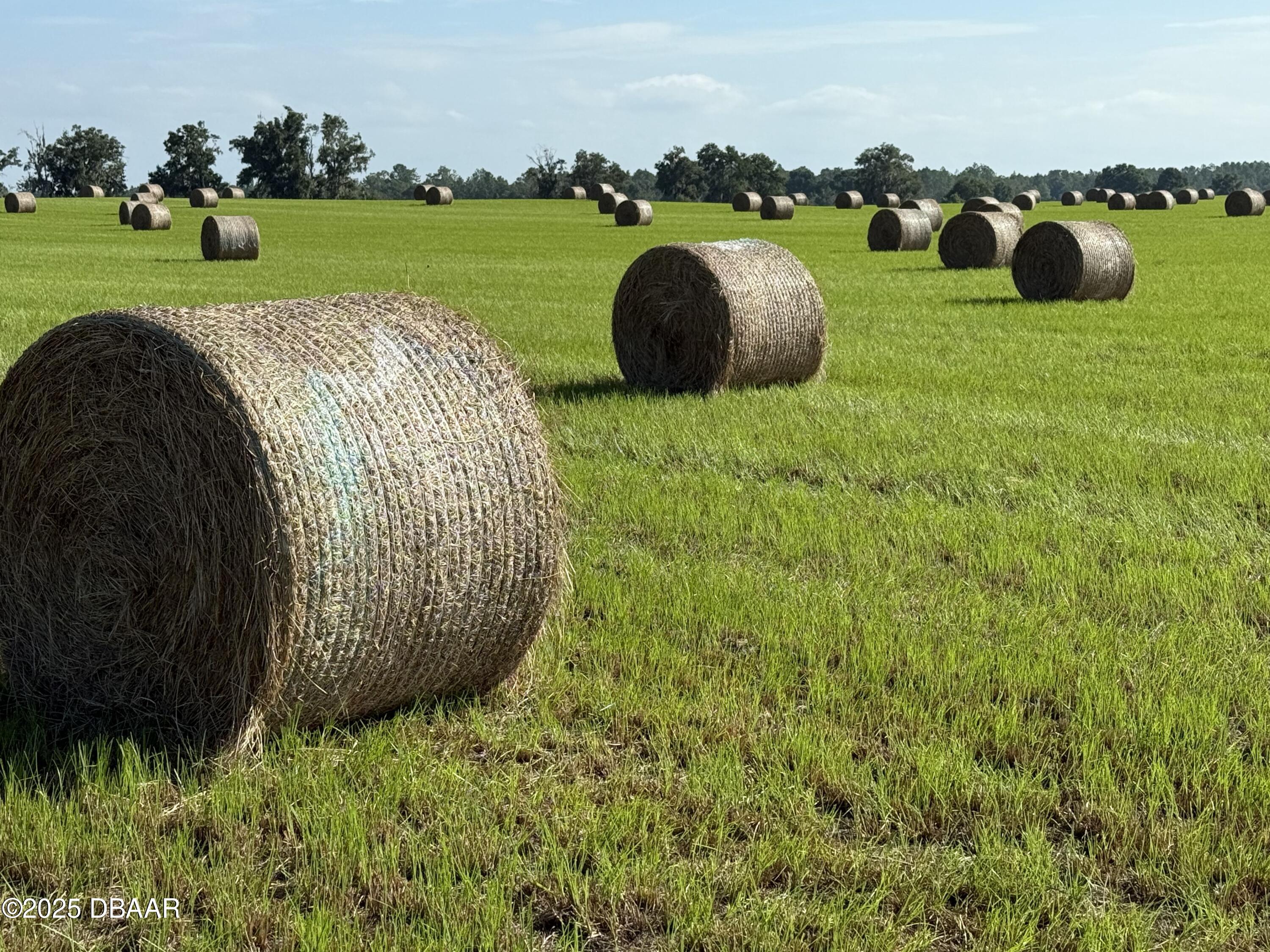 72 Nw Place Bell, FL 32619 - Photo 4 of 14 a view of a golf ground with huge green field and covered with green space