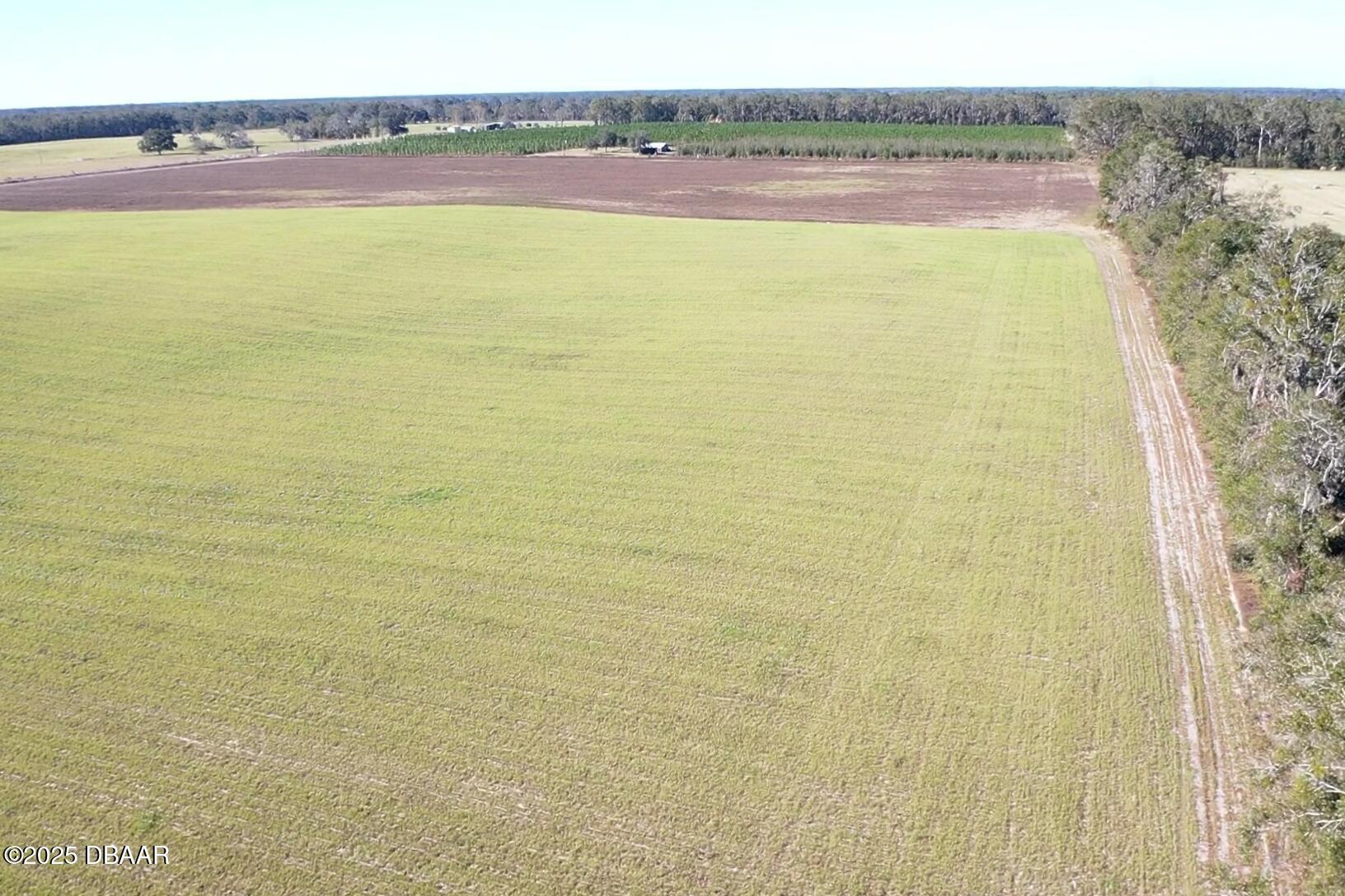 72 Nw Place Bell, FL 32619 - Photo 5 of 14 a view of an ocean