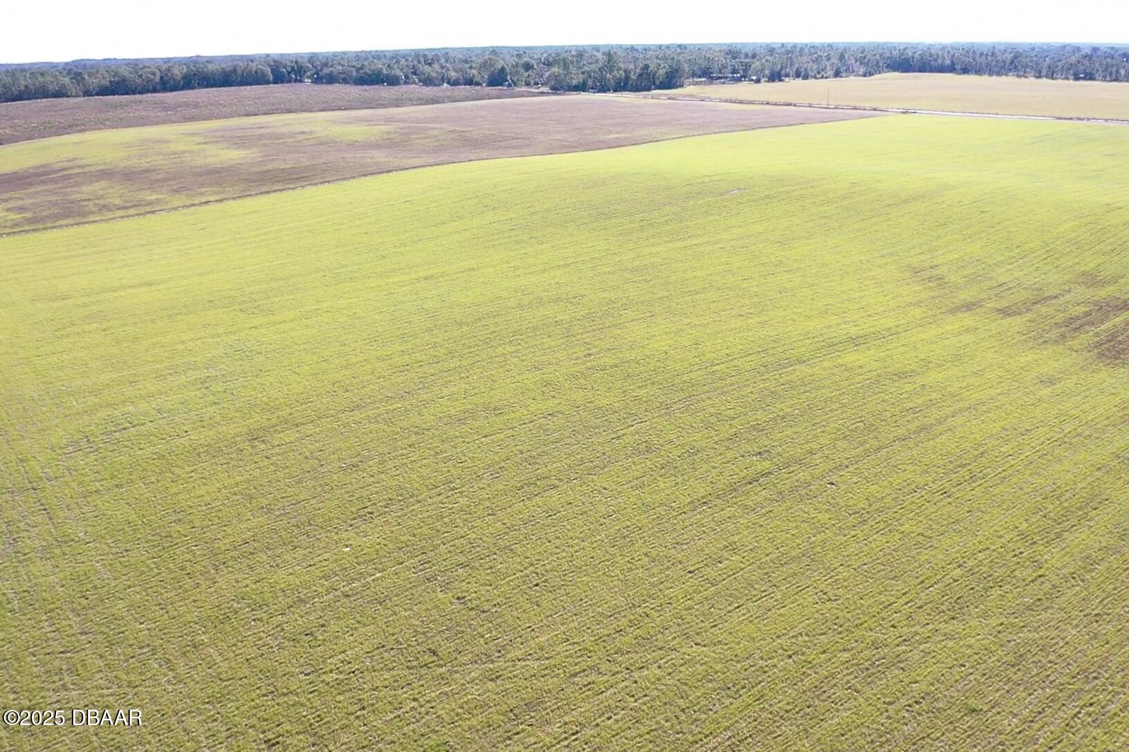 72 Nw Place Bell, FL 32619 - Photo 8 of 14 a view of an ocean