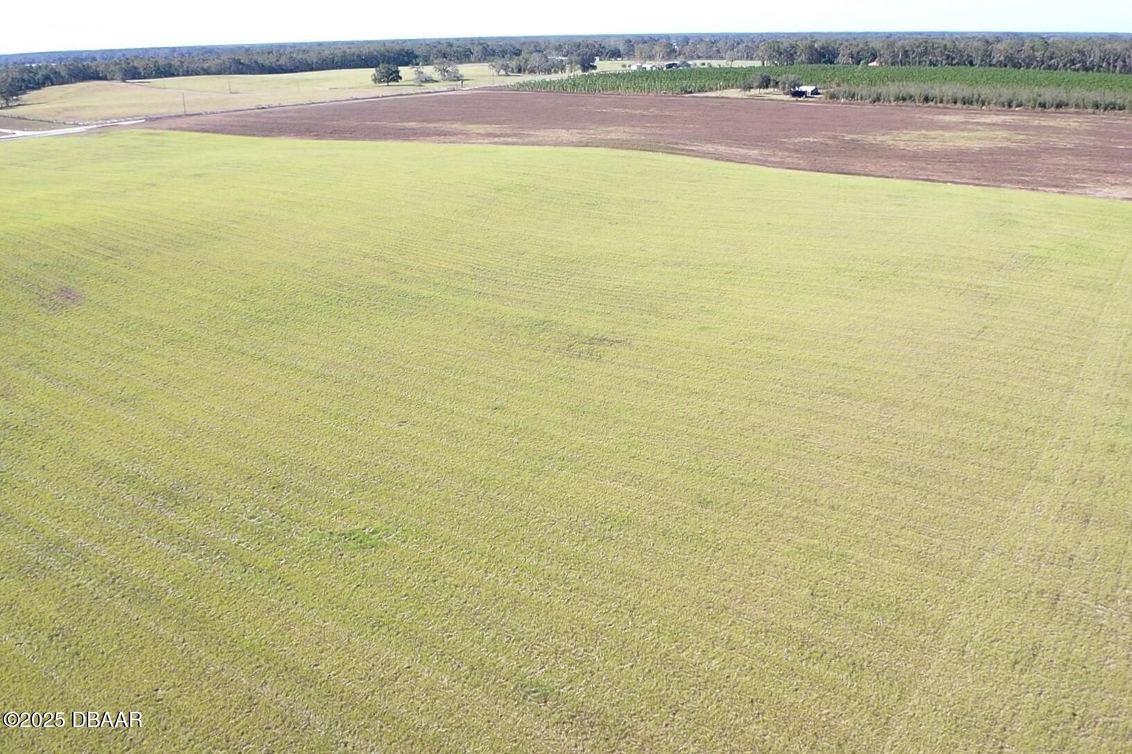 72 Nw Place Bell, FL 32619 - Photo 10 of 14 a view of an ocean and beach