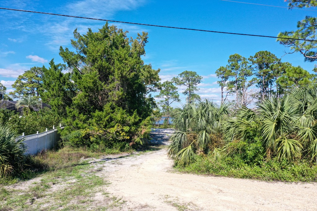 183 River Road Carrabelle, FL 32322 - Photo 12 of 24 Gallery Image 12