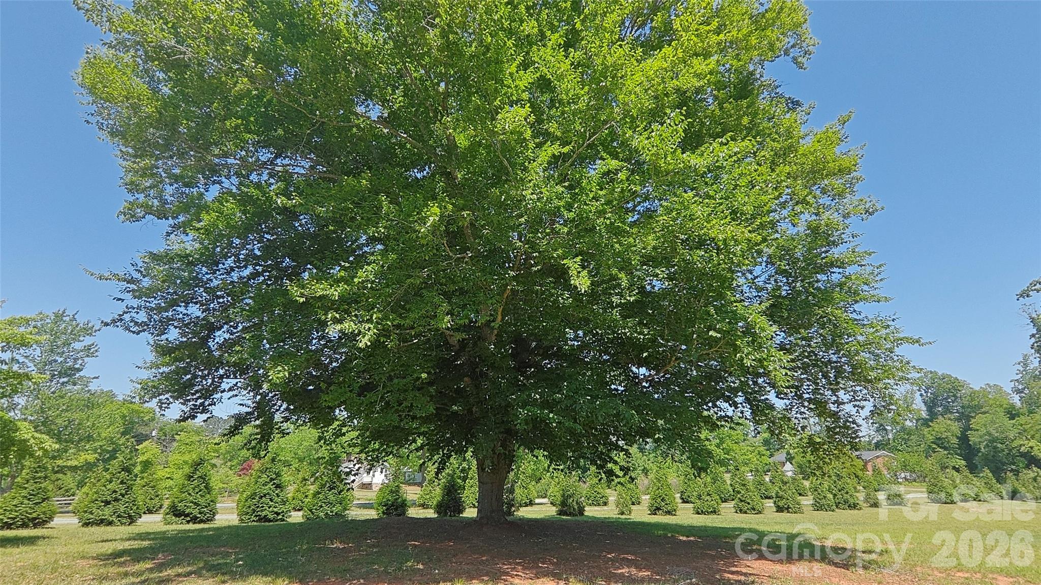 8710 Stokes Ferry Road Salisbury, NC 28146 - Photo 27 of 28
