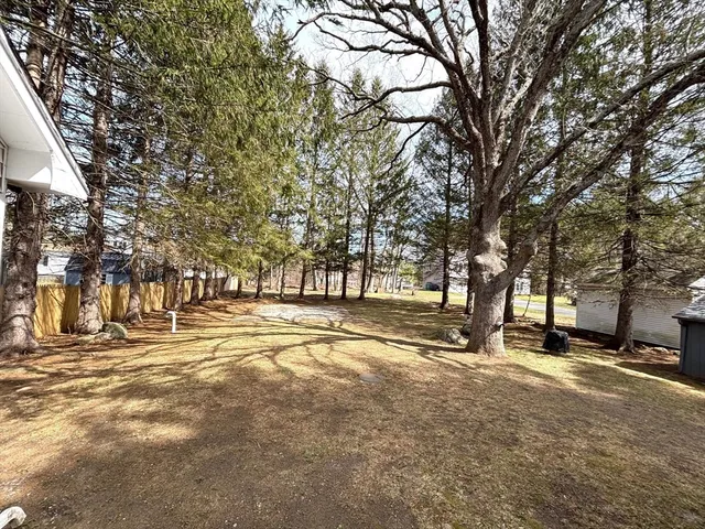 a view of road with trees