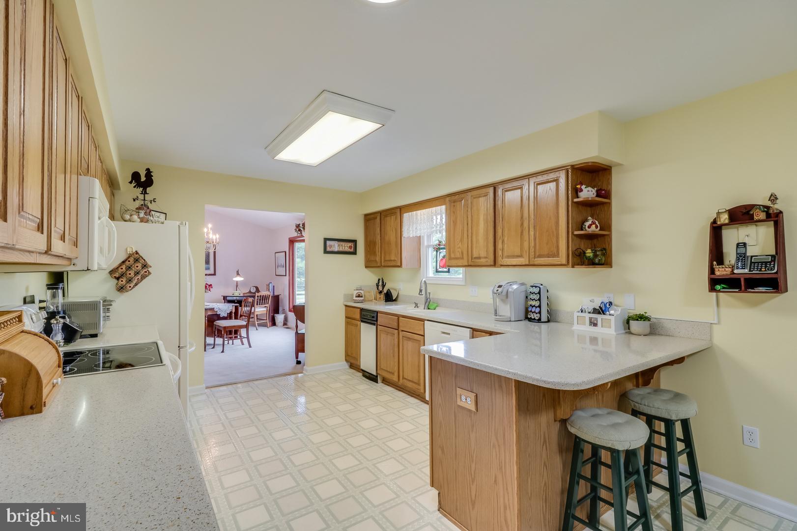165 Wiggins Mill Road Townsend, DE 19734 - Photo 10 of 27 Kitchen