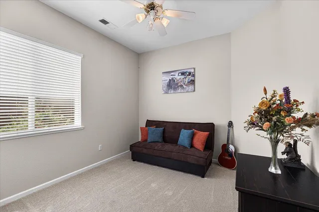 a view of a park with plants and trees