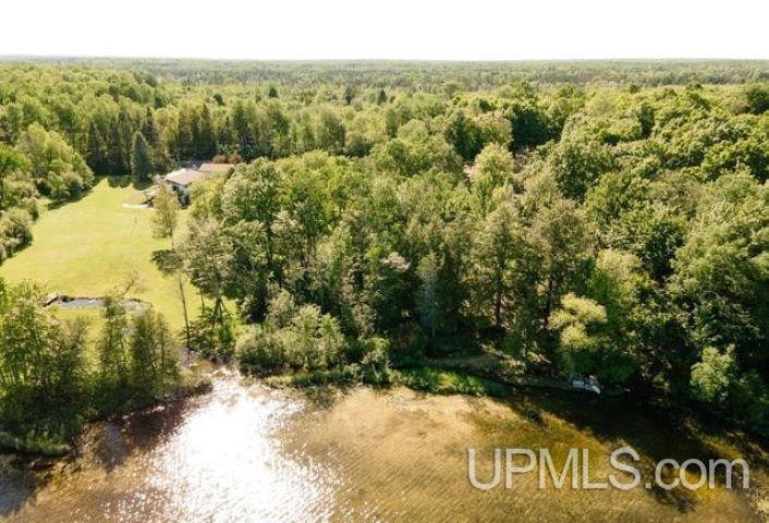 Tbd West Sunset Lake Road Iron River, MI 49935 - Photo 3 of 4