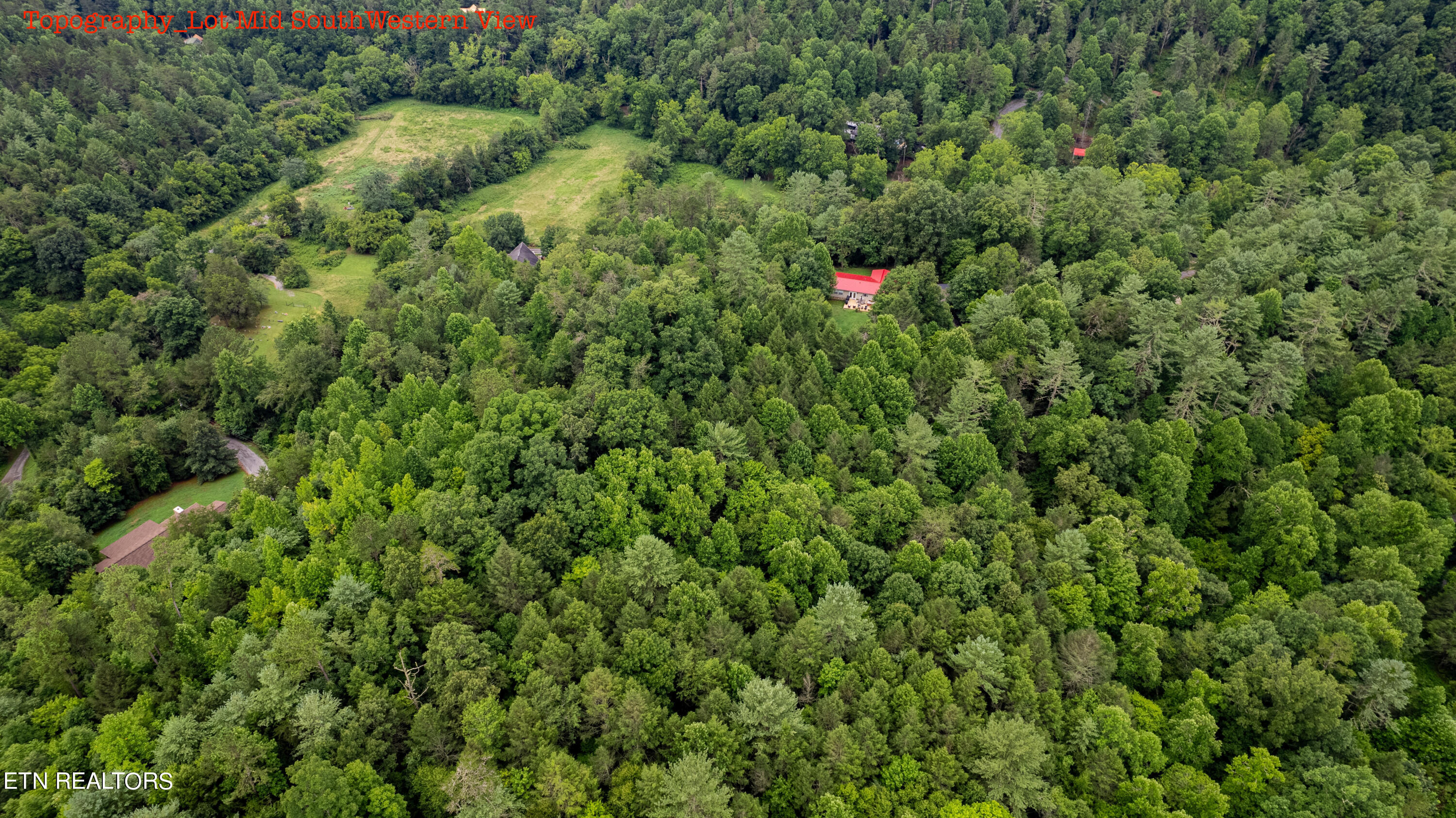3740 North Ball Hollow Road Sevierville, TN 37876 - Photo 27 of 31 Topography_Lot Mid SouthWestern View