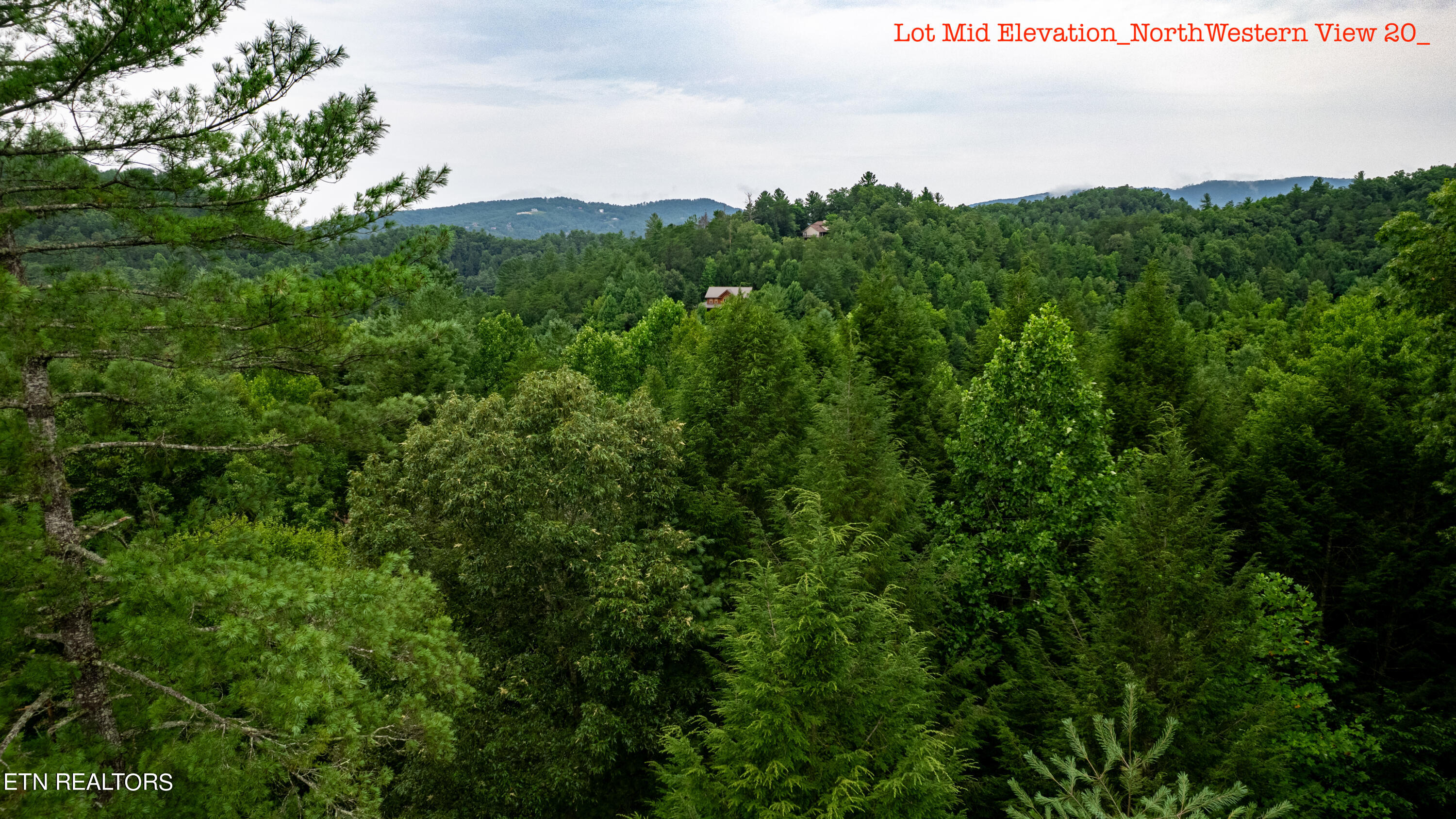 3740 North Ball Hollow Road Sevierville, TN 37876 - Photo 8 of 31 Lot Mid Elevation_NorthWestern View 20_