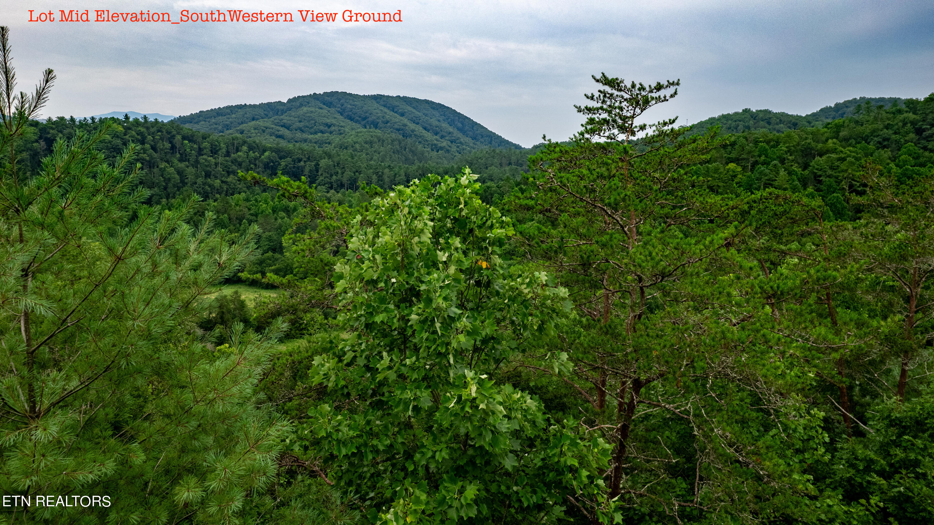 3740 North Ball Hollow Road Sevierville, TN 37876 - Photo 10 of 31 Lot Mid Elevation_SouthWestern View Grou