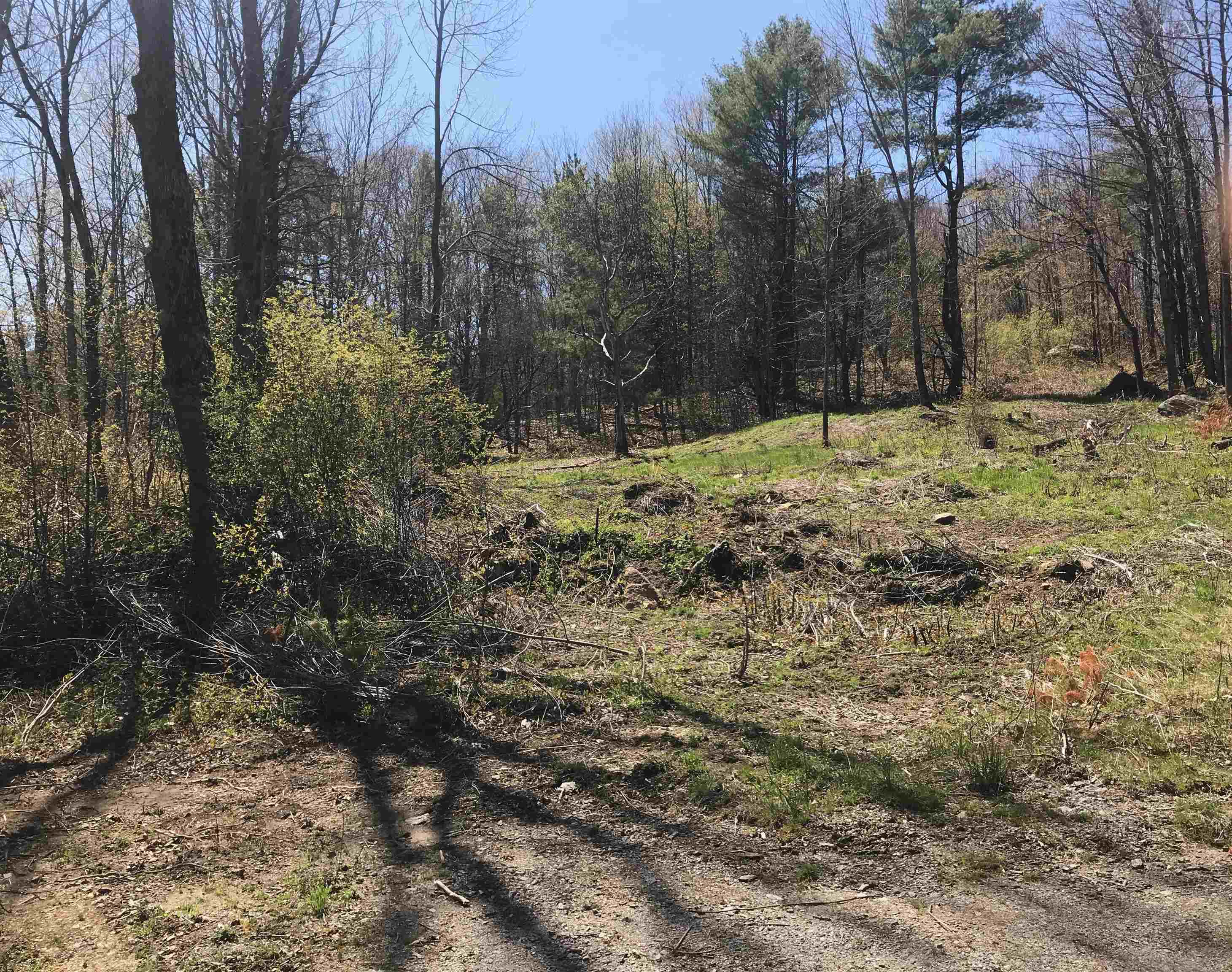 123 Nh Route Marlow, NH 03456 - Photo 5 of 7 Gallery Image 5