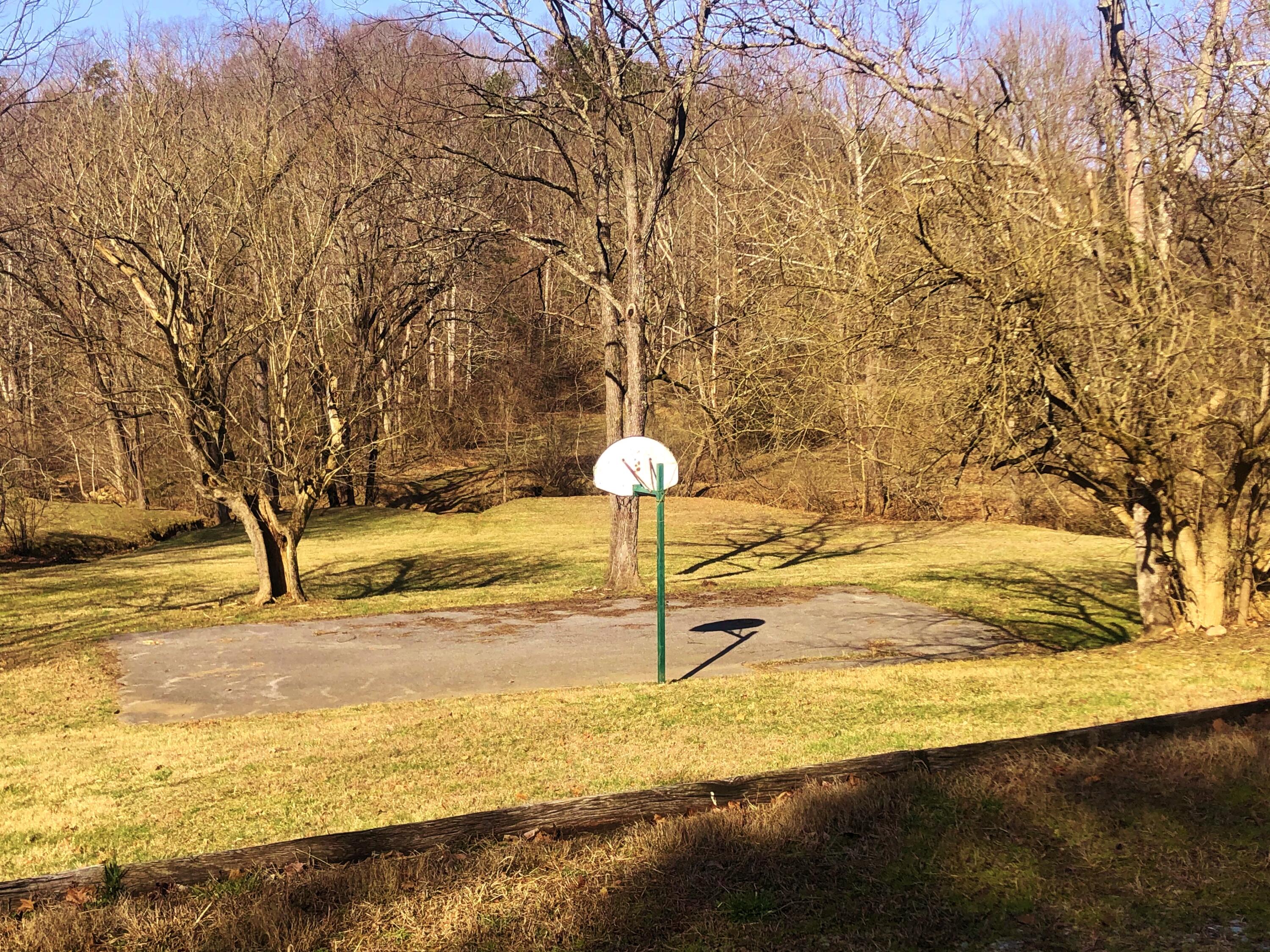 Lot 17 Gap Bridge Road Moneta, VA 24121 - Photo 12 of 13 a view of a yard with swimming pool