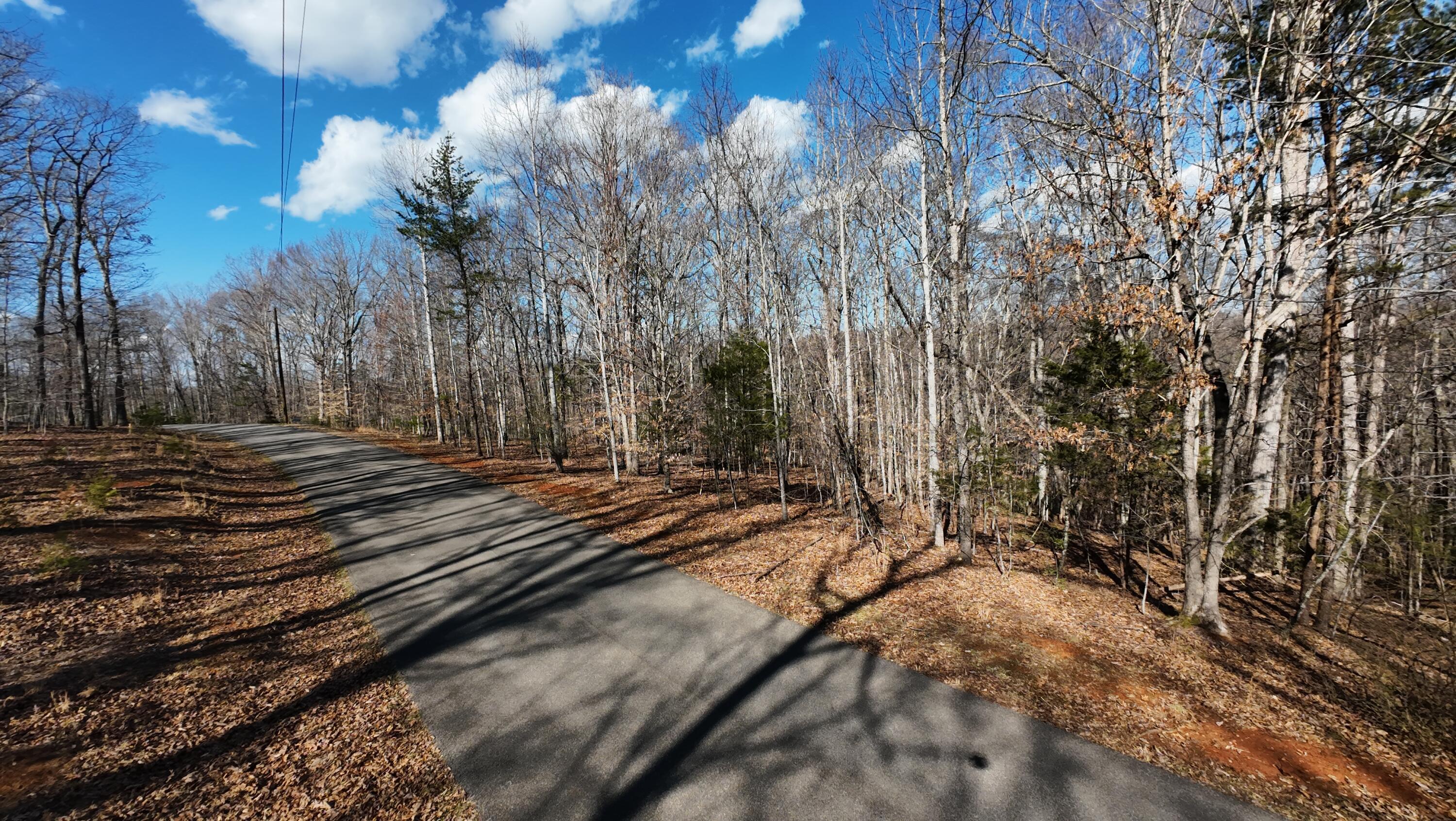 Lot 17 Gap Bridge Road Moneta, VA 24121 - Photo 3 of 13 a view of a yard