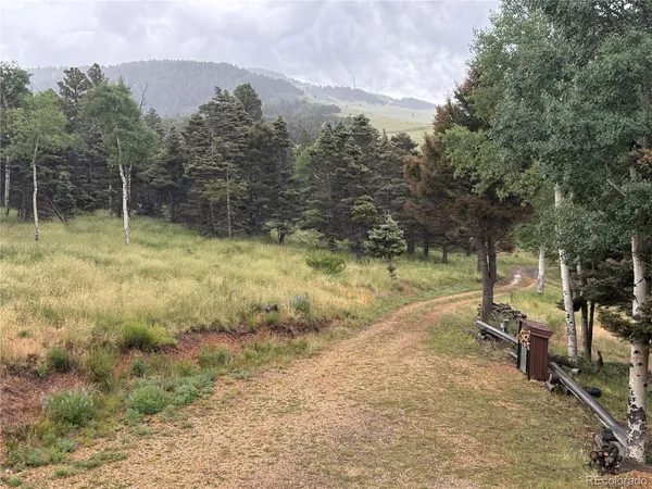 $1,250,000 | 217 Greaves Lane, Fort Garland, CO 81133