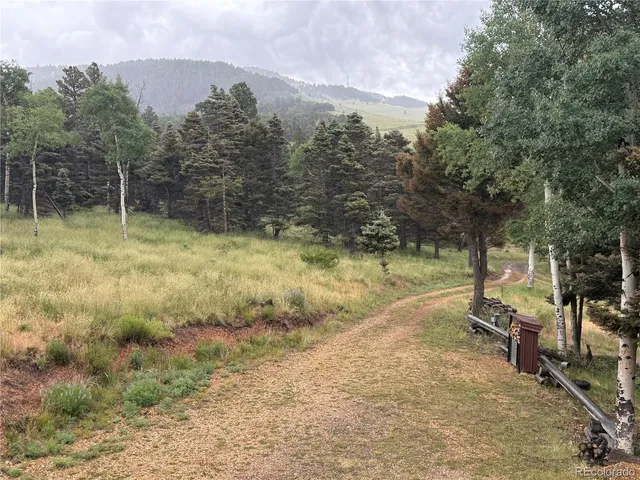 $1,250,000 | 217 Greaves Lane, Fort Garland, CO 81133