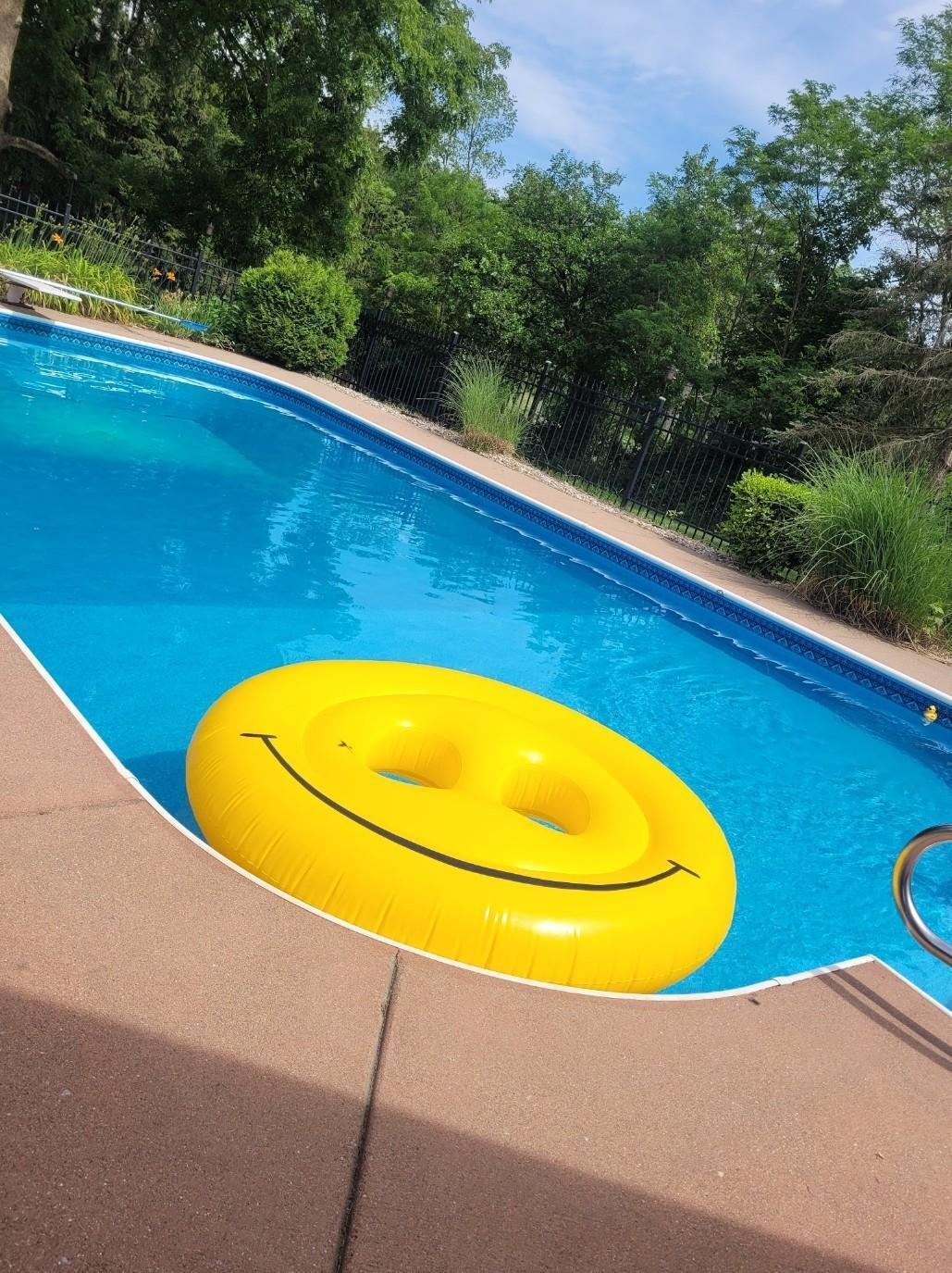 208 Glasgow Road Jackson, MI 49201 - Photo 46 of 94 Summer happy place