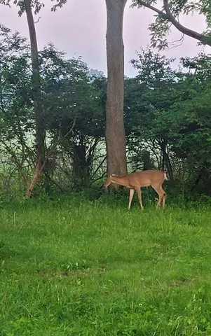 $727,000 | 208 Glasgow Road, Jackson, MI 49201