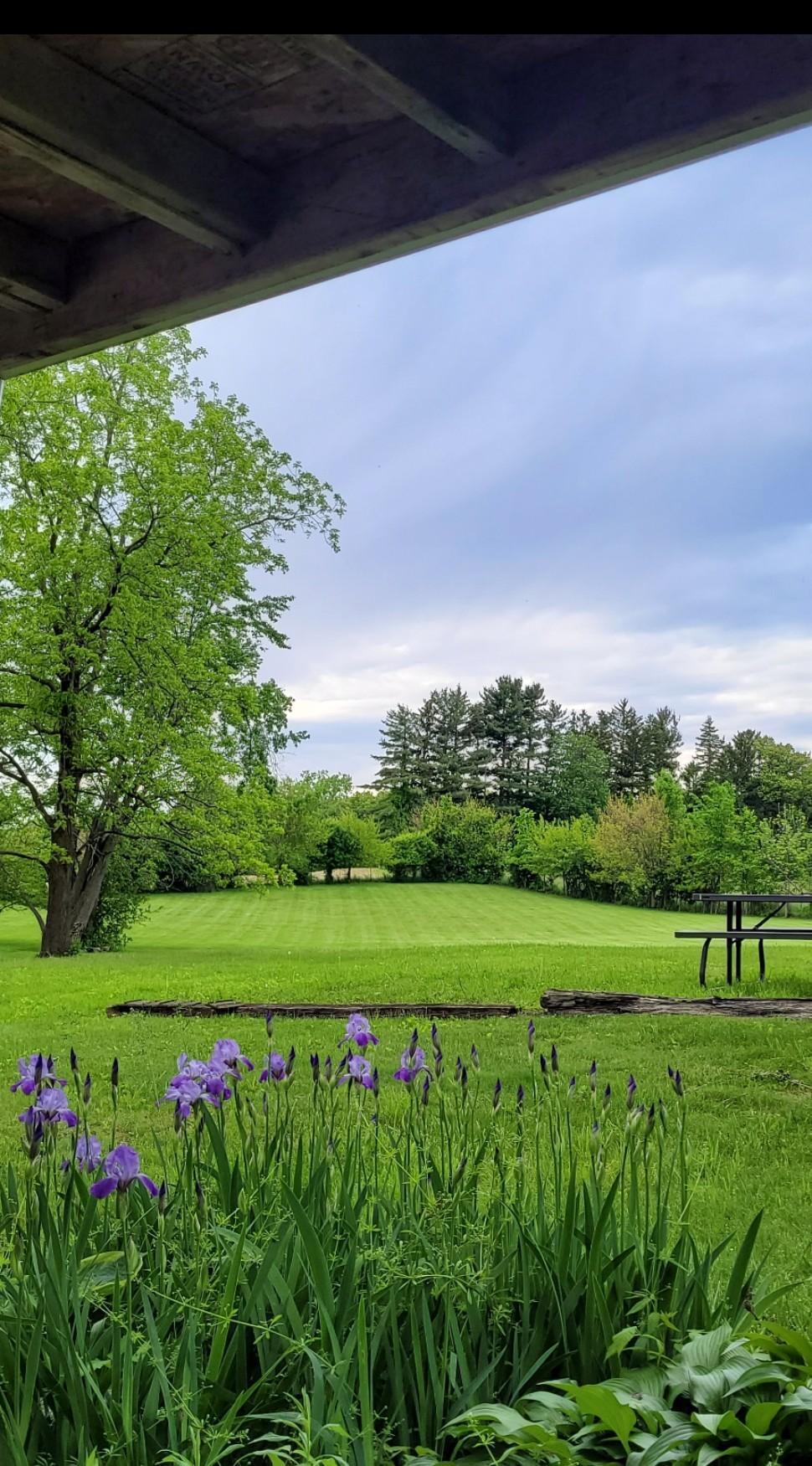 208 Glasgow Road Jackson, MI 49201 - Photo 71 of 94 Acreage