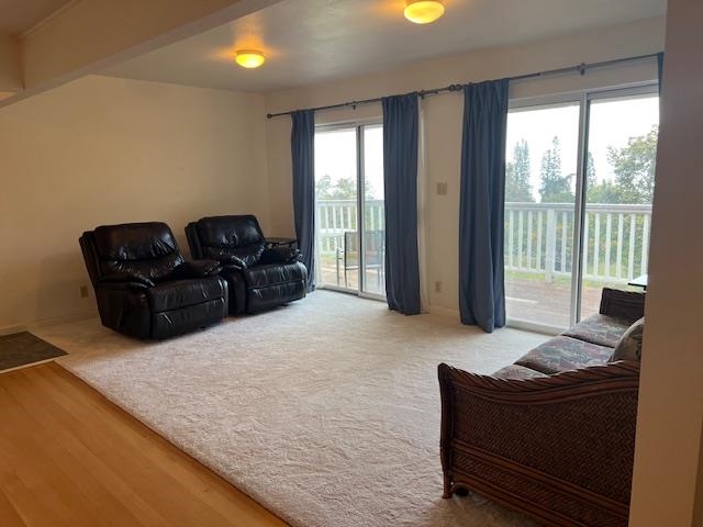 221 Upper Kimo Drive Kula, HI 96790 - Photo 10 of 21 a living room with furniture and large windows