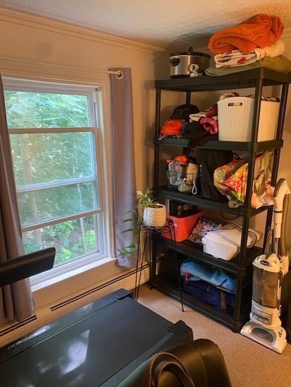 10 Cottage Street Bangor, ME 04401 - Photo 19 of 54 Picture (19)