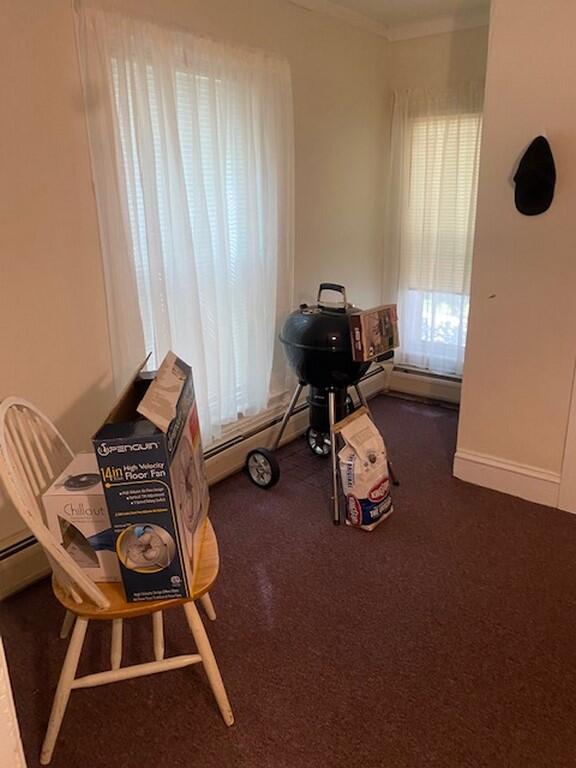 10 Cottage Street Bangor, ME 04401 - Photo 54 of 54 Picture (54)