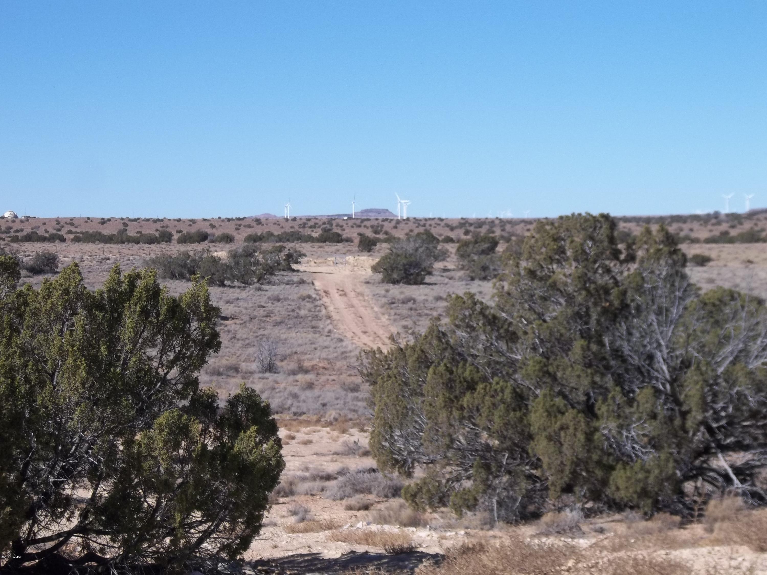 3843 Riggs Street Snowflake, AZ 85937 - Photo 3 of 21 a view of a dry yard with trees