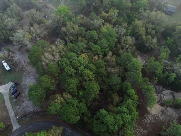 an aerial view of a forest with houses